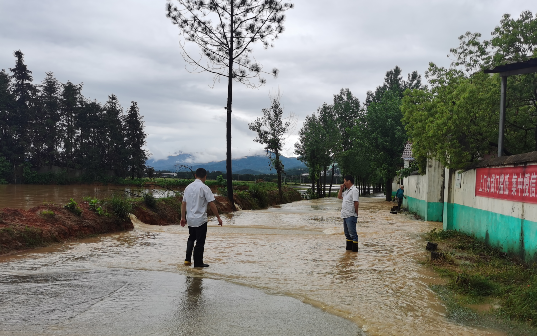 吉安公司:冒雨勘察積水路況 守護(hù)市民安全出行